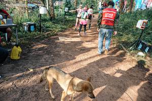 BIB: 
                            <button type="button" onclick="openModal(25634955)" class="btn btn-primary btn-sm float-right btn-popup" data-toggle="modal" data-target=".modal-high-quality">
                        <i class="fas fa-shopping-cart"></i> Add to Cart
                    </button>
                                            <button type="button" onclick="isThisMe(25634955, true)" class="btn btn-success btn-sm float-right btn-popup btn-isme hidden" data-toggle="tooltip" data-placement="bottom" title="นี่คือรูปของคุณใช่ไหม คลิกที่นี่เพื่อเอาเข้าอัลบั้ม">
                        <i class="fas fa-plus"></i> Add to album
                    </button>
                    <button type="button" onclick="isThisMe(25634955, false)" class="btn btn-warning btn-sm float-right btn-popup btn-isnotme hidden">
                        <i class="fas fa-ban"></i> Remove from album
                    </button>